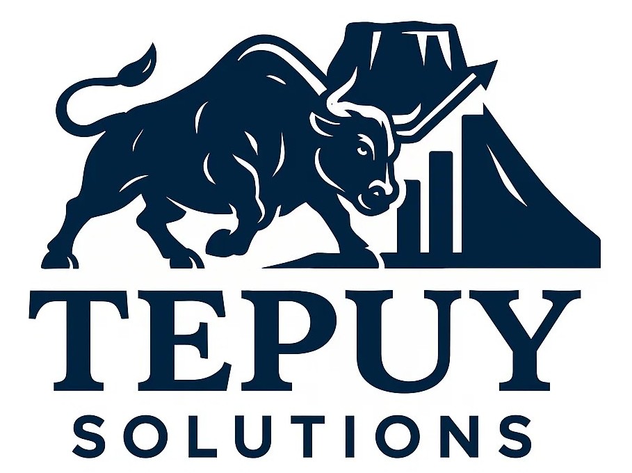 Tepuy Solutions Logo